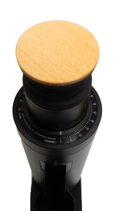 DC63 Coffee Grinder